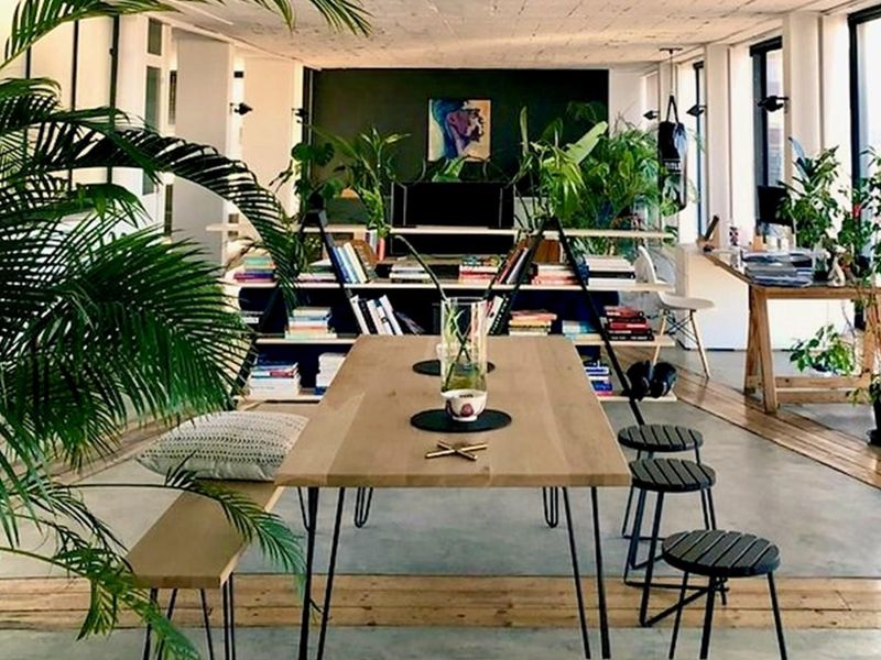 Spacious open-plan living area featuring polished concrete flooring with timber inlay details, large windows, and an industrial-style exposed concrete ceiling.
