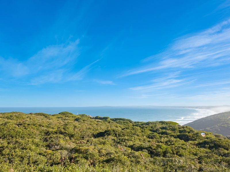 A scenic coastal view overlooking lush green vegetation and the ocean horizon under a clear blue sky.