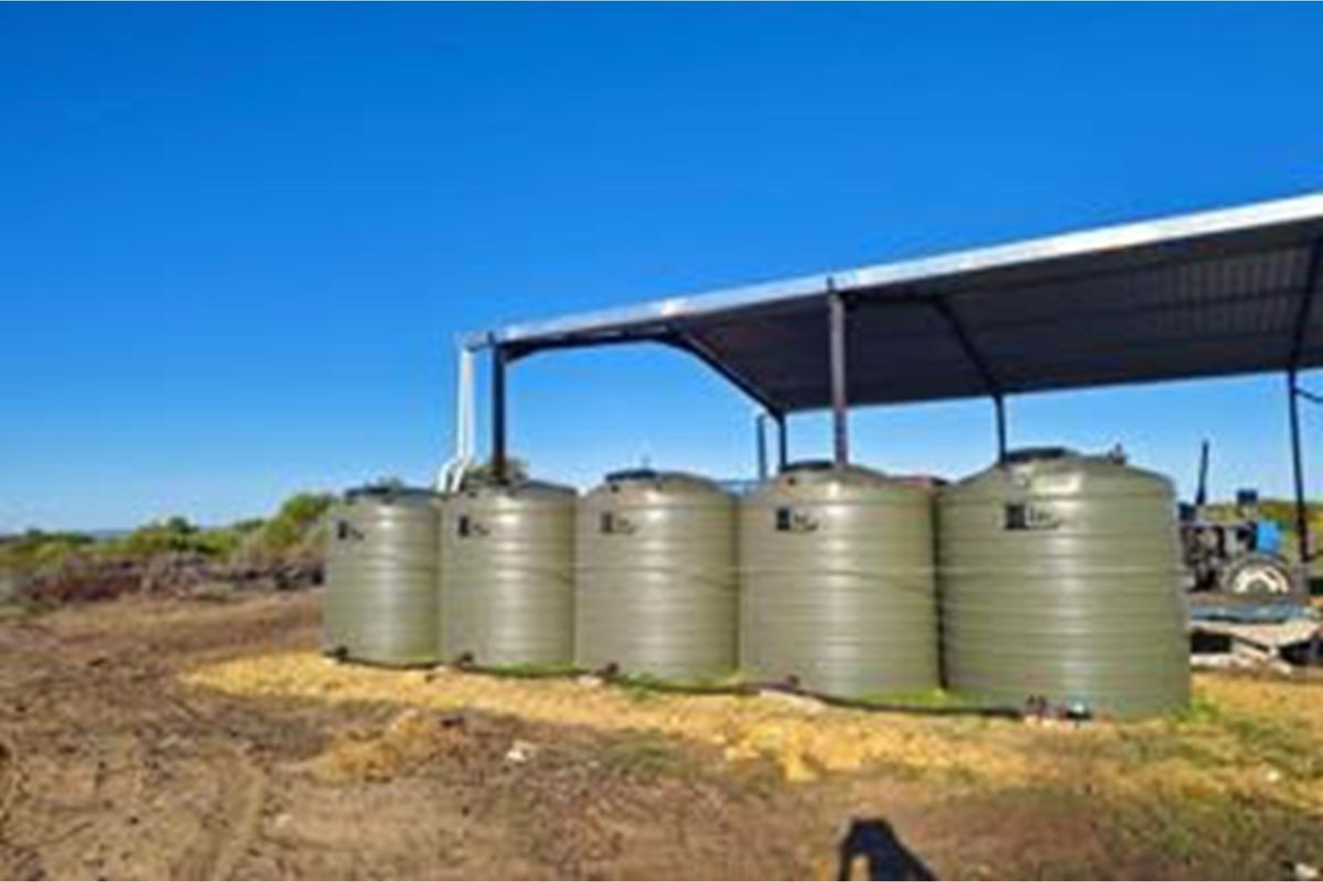 Luxury Off-Grid Farm for Sale - Grazing Land and Views near Heidelberg - Photo 4