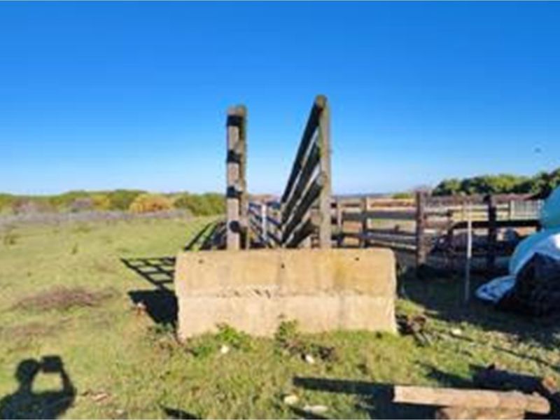 Luxury Off-Grid Farm for Sale - Grazing Land and Views near Heidelberg - Photo 8