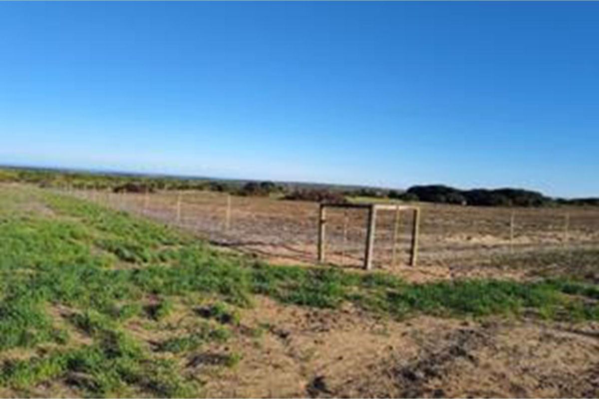 Luxury Off-Grid Farm for Sale - Grazing Land and Views near Heidelberg - Photo 4