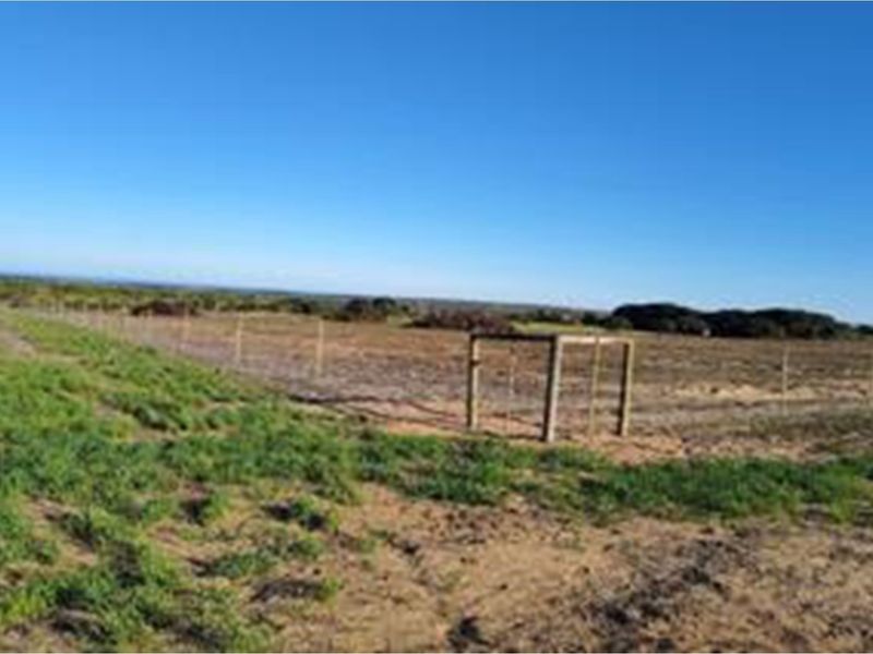 Luxury Off-Grid Farm for Sale - Grazing Land and Views near Heidelberg - Photo 6