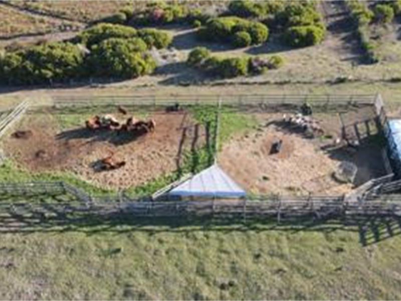 Luxury Off-Grid Farm for Sale - Grazing Land and Views near Heidelberg - Photo 3