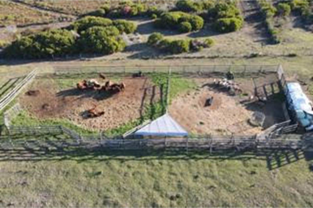 Luxury Off-Grid Farm for Sale - Grazing Land and Views near Heidelberg - Photo 3