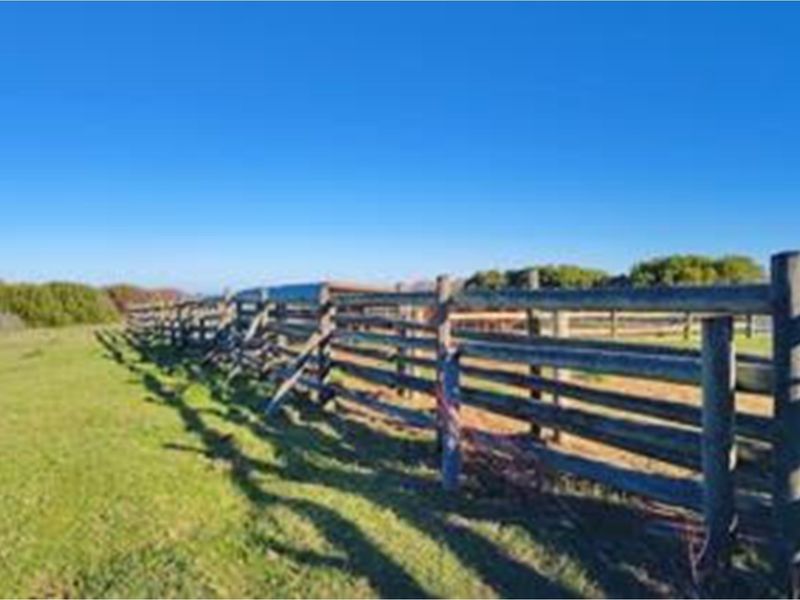 Luxury Off-Grid Farm for Sale - Grazing Land and Views near Heidelberg - Photo 10