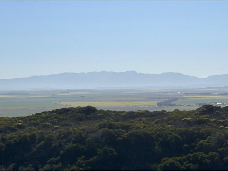 Luxury Off-Grid Farm for Sale - Grazing Land and Views near Heidelberg - Photo 2