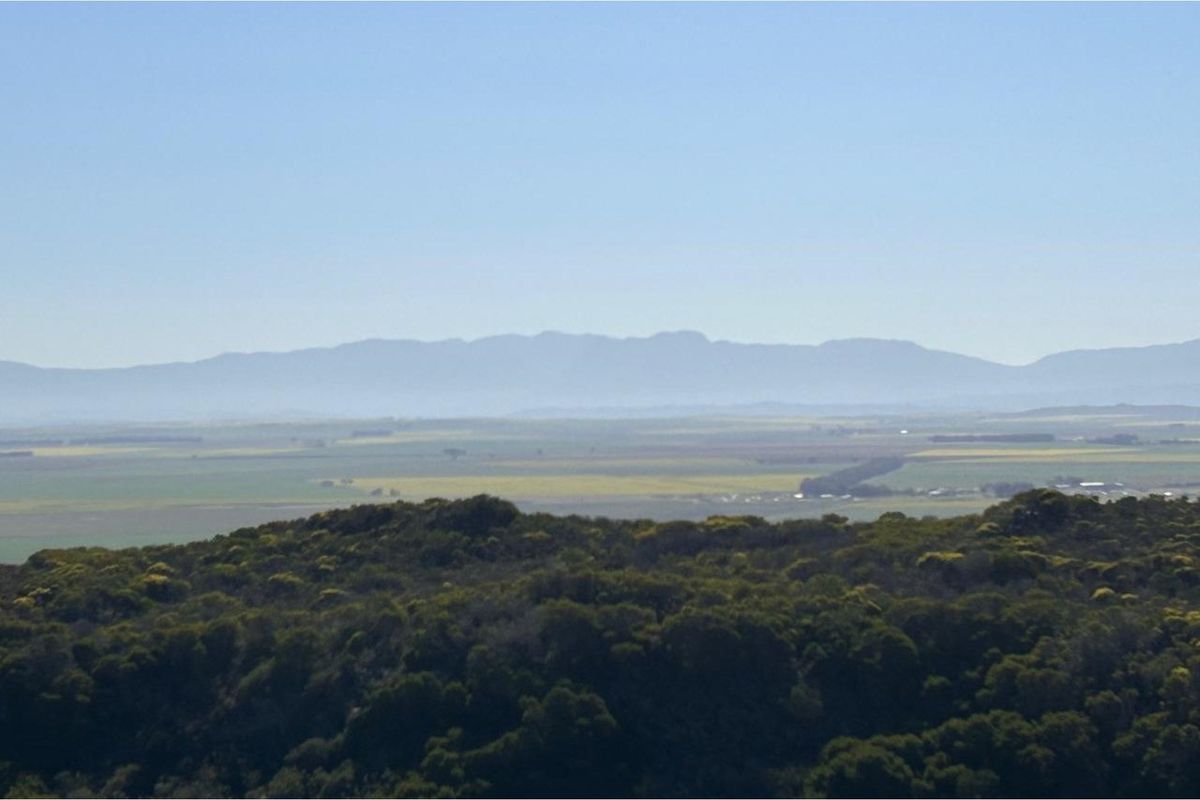 Luxury Off-Grid Farm for Sale - Grazing Land and Views near Heidelberg - Photo 2