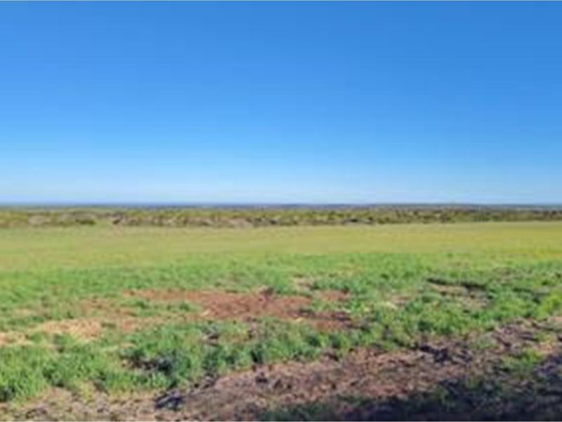 Luxury Off-Grid Farm for Sale - Grazing Land and Views near Heidelberg - Photo 5