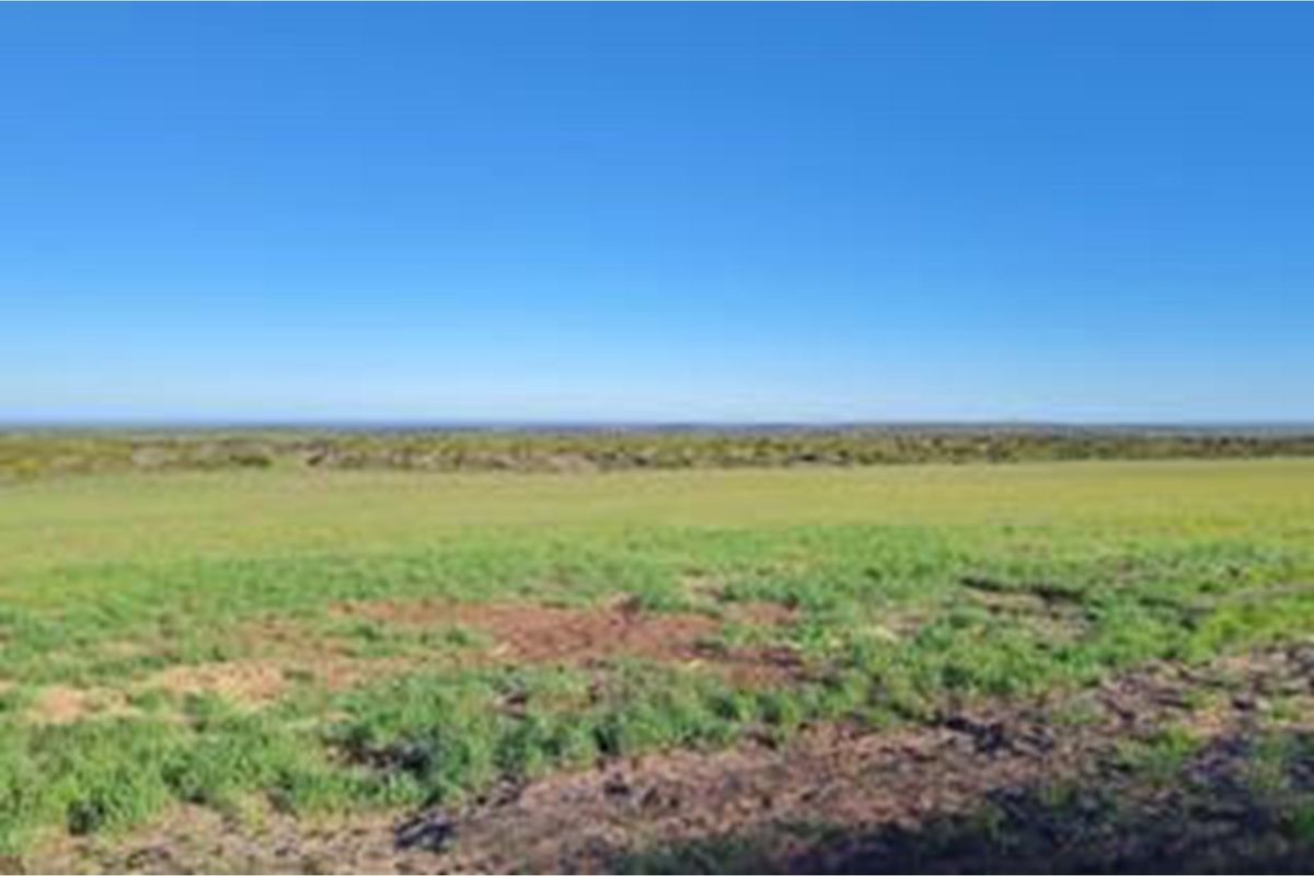 Luxury Off-Grid Farm for Sale - Grazing Land and Views near Heidelberg - Photo 5