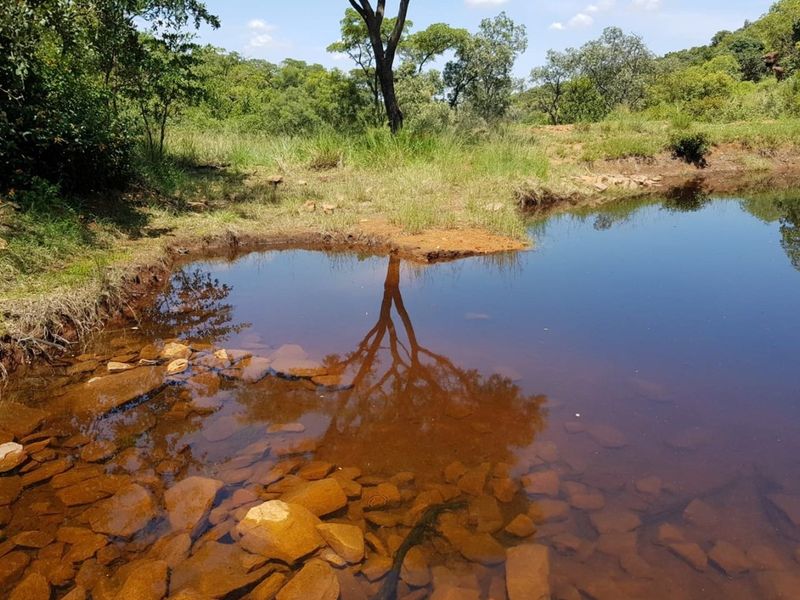 A natural farm dam featuring clear water, rocky bed, and surrounding indigenous vegetation, providing a serene landscape view.