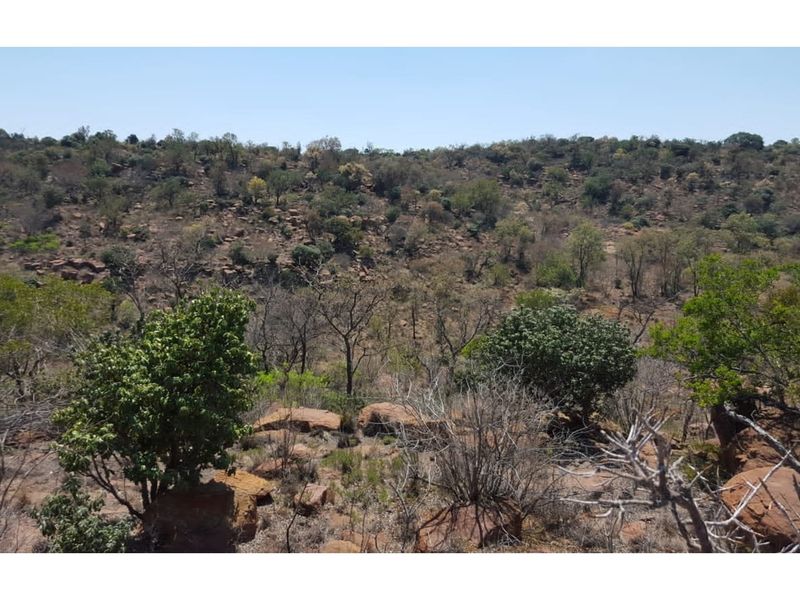 A scenic view of the natural landscape featuring rocky terrain and indigenous vegetation typical of the farm environment.