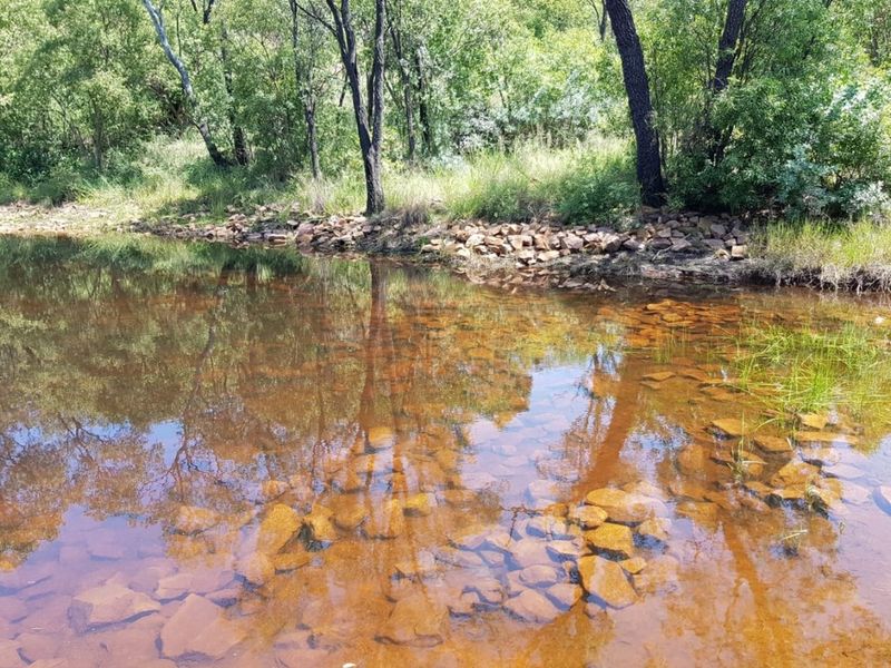 A serene view of a natural stream or pond on the farm property, featuring clear water, rocky riverbed, and surrounding native trees.
