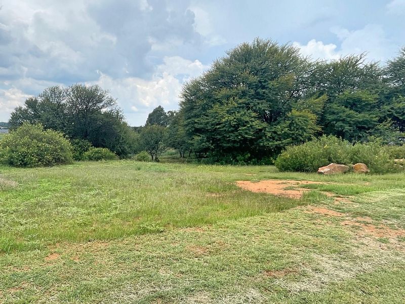 A view of a spacious, naturally landscaped residential plot featuring mature trees and established grass cover.