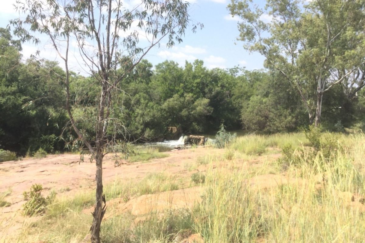 Great Investment 350 Ha Farm,  Dinokeng Big 5 Nature Reserve - Photo 4