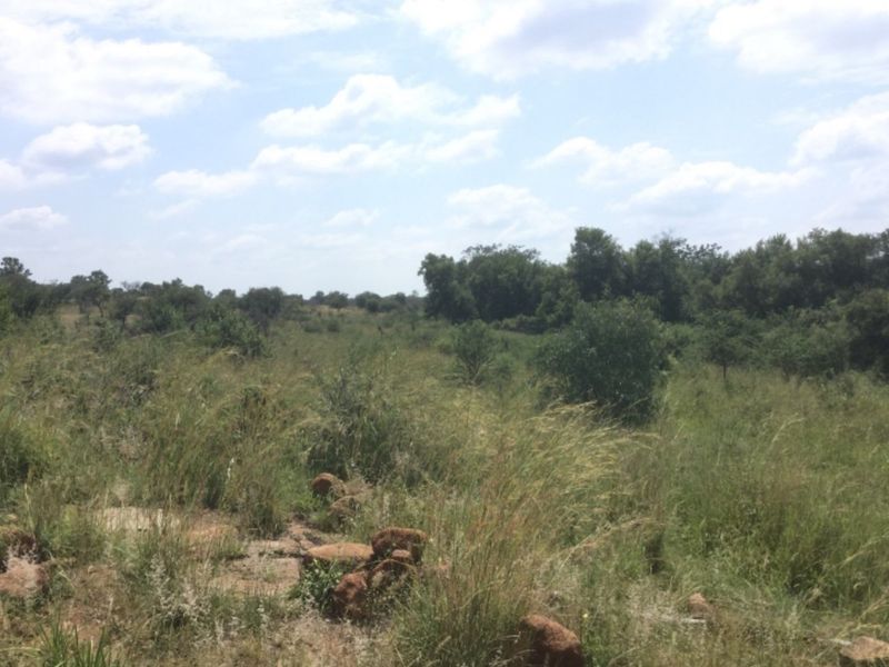 Great Investment 350 Ha Farm,  Dinokeng Big 5 Nature Reserve - Photo 1