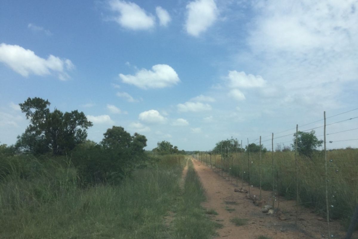 Great Investment 350 Ha Farm,  Dinokeng Big 5 Nature Reserve - Photo 2