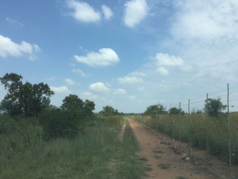 A view of the farm landscape featuring a dirt track and wire fencing stretching across the open field.