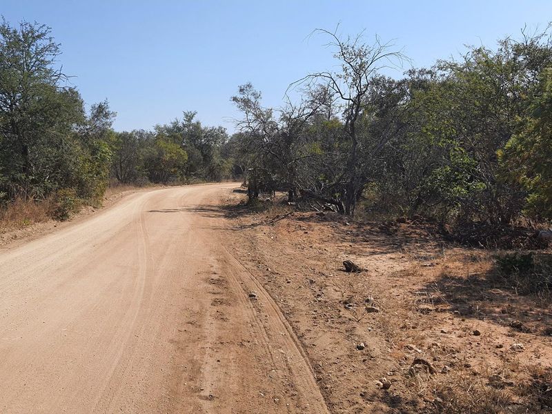 A large stand of >1Ha in Big 4 Moditlo Wildlife Estate - Photo 10