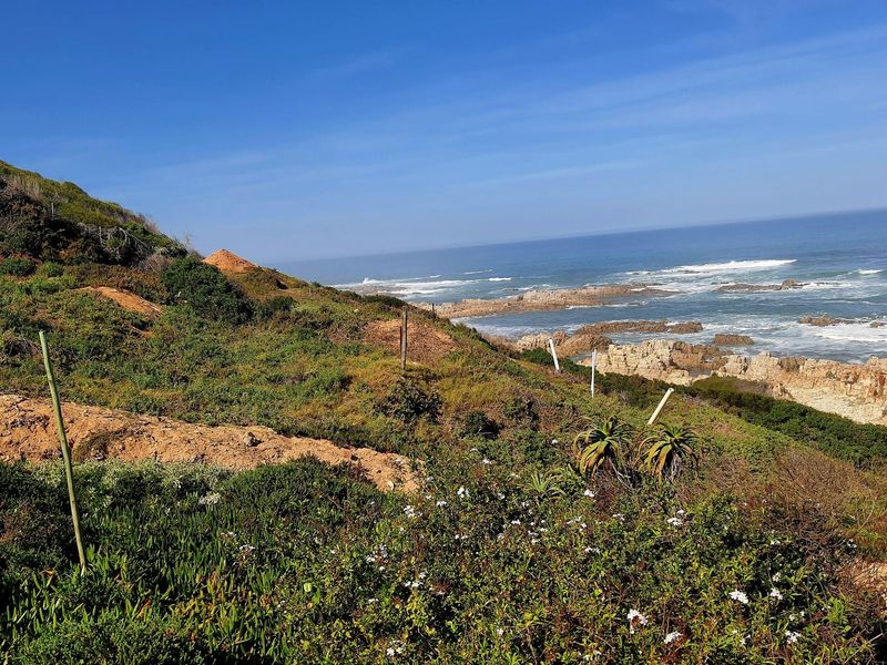 Exceptional opportunity to secure a prime beachfront stand - Photo 5