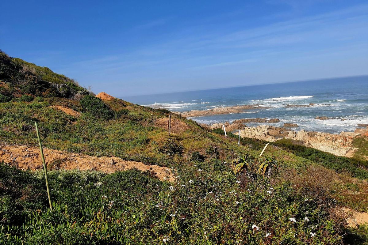 Exceptional opportunity to secure a prime beachfront stand - Photo 5