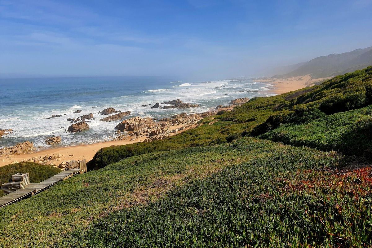 Exceptional opportunity to secure a prime beachfront stand - Photo 4