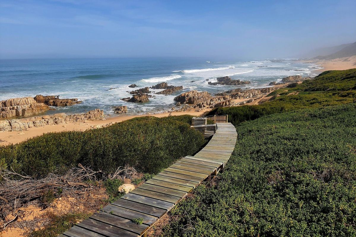 Exceptional opportunity to secure a prime beachfront stand - Photo 3