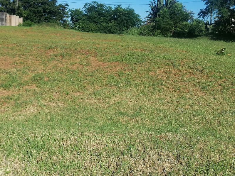 A view of a vacant residential plot featuring a grass lawn and boundary wall, suitable for future development.