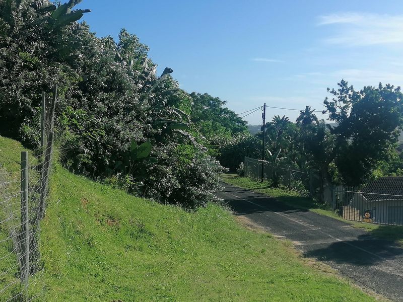 A view of the asphalt street and surrounding residential fencing and vegetation bordering the vacant land.