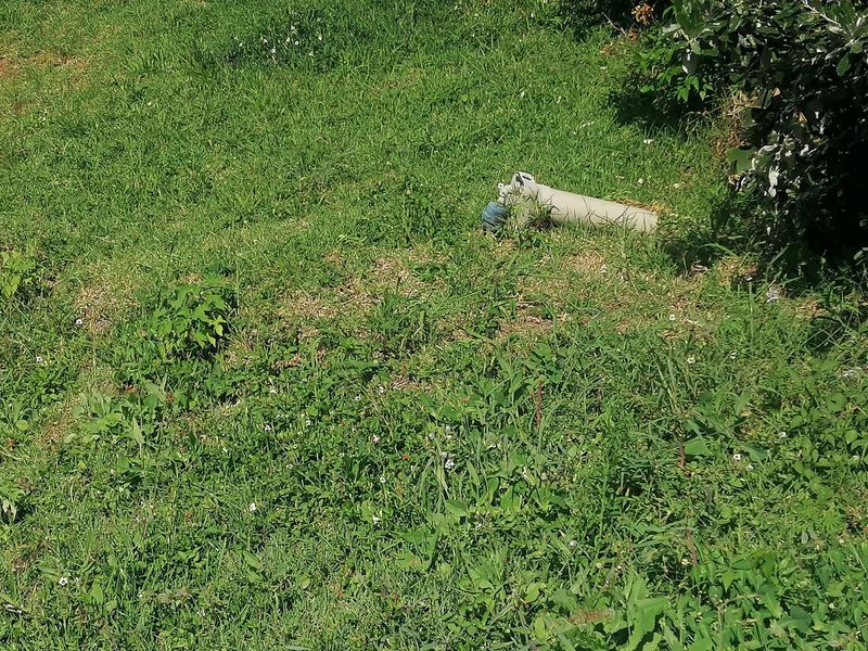 A view of the residential land featuring a grassy area with an exposed irrigation pipe.