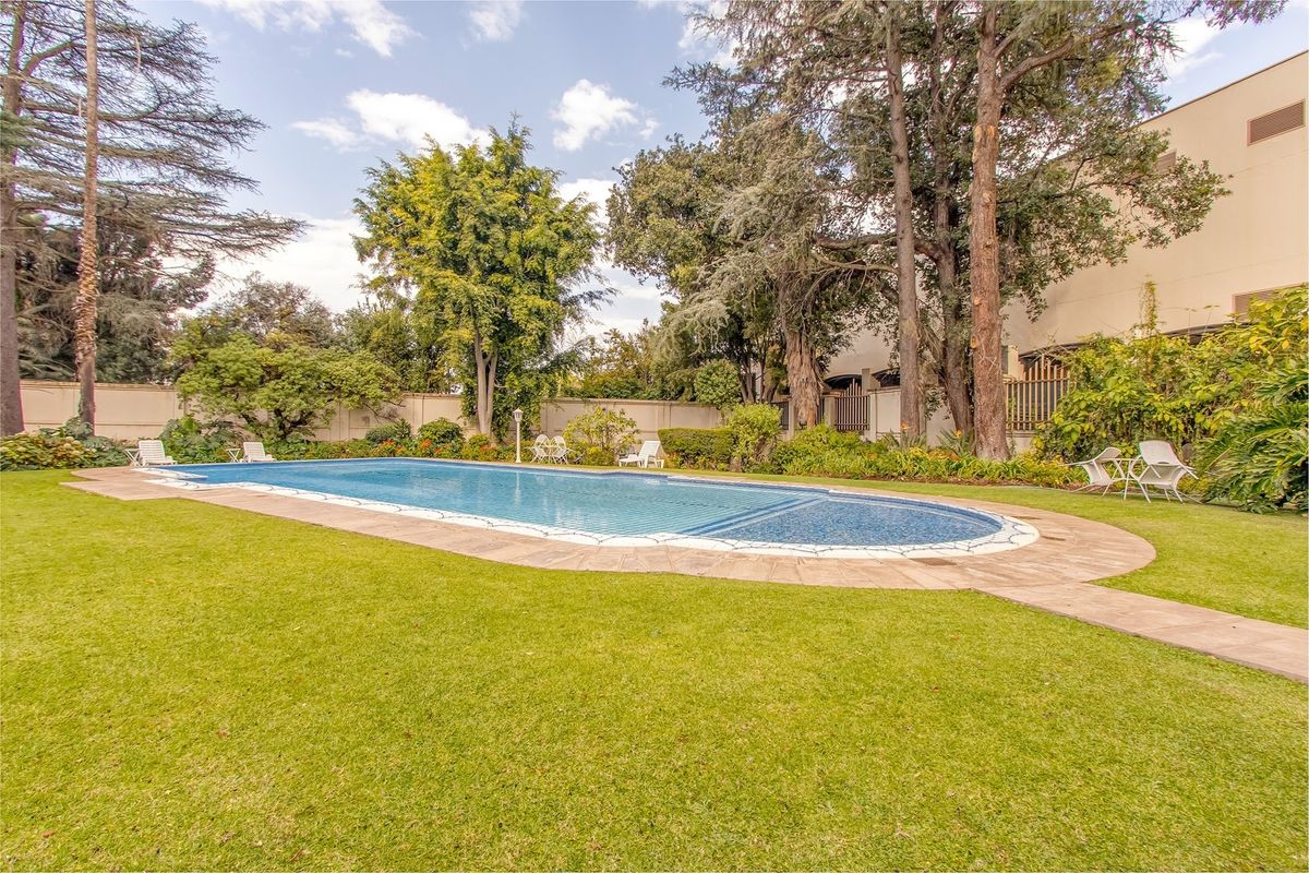 Light filled, spacious ground floor apartment with three underground bays and patio - Photo 2