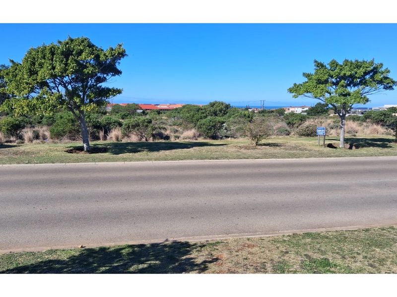 Prime Real Estate Opportunity in Eastern Cape - Photo 8