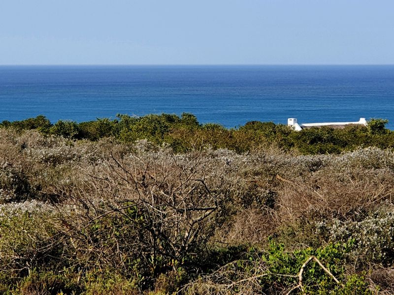 A scenic view of the ocean and coastal vegetation, showcasing the natural landscape and horizon.