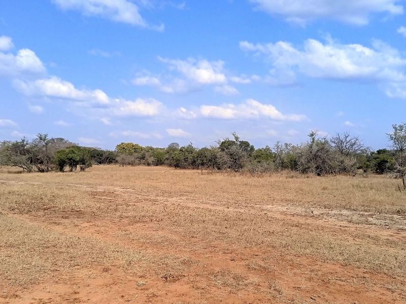 Live Among Legends: Your Home in the Heart of Hoedspruit - Photo 2