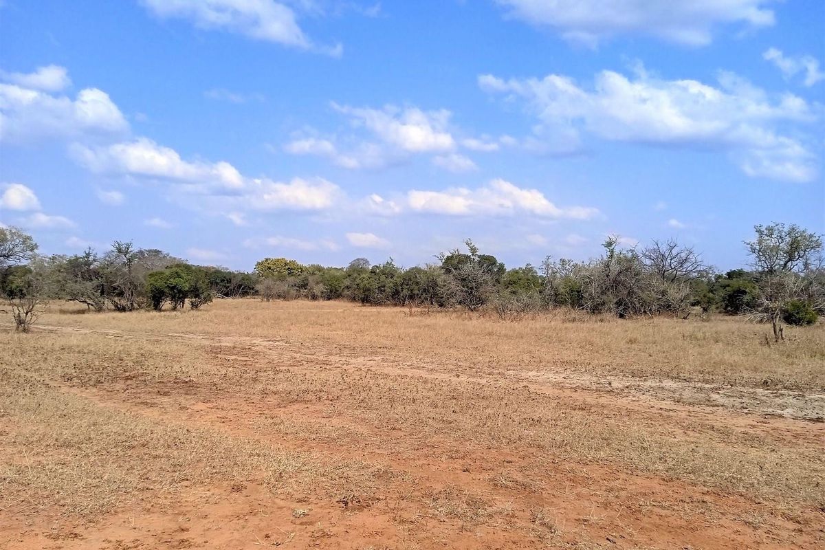 Live Among Legends: Your Home in the Heart of Hoedspruit - Photo 2