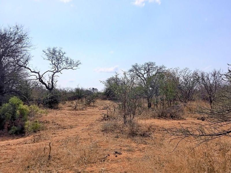 Live Among Legends: Your Home in the Heart of Hoedspruit - Photo 3