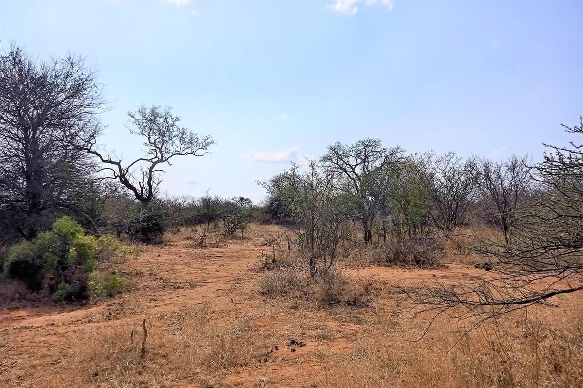 Live Among Legends: Your Home in the Heart of Hoedspruit - Photo 3