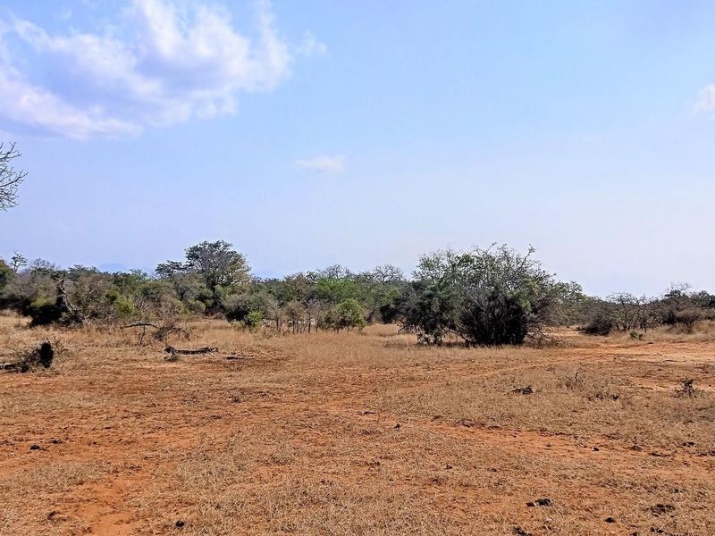 Live Among Legends: Your Home in the Heart of Hoedspruit - Photo 5