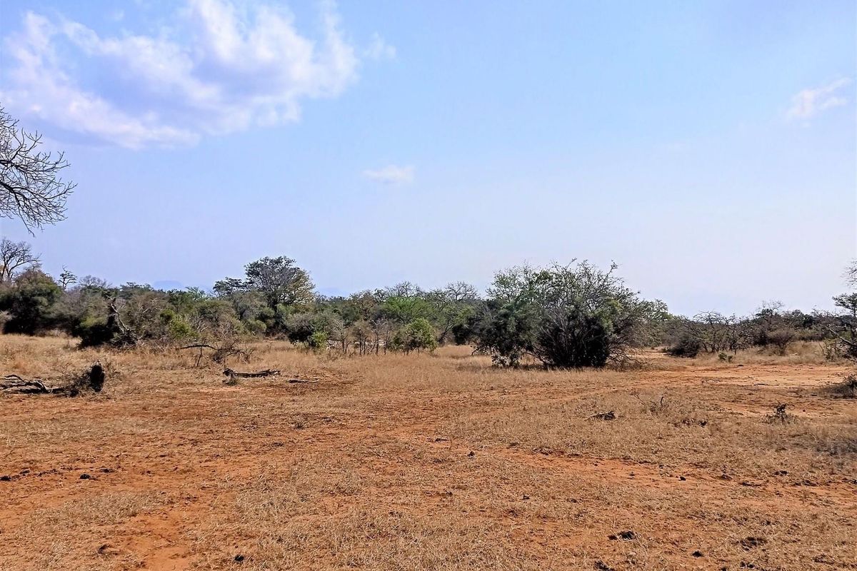 Live Among Legends: Your Home in the Heart of Hoedspruit - Photo 5