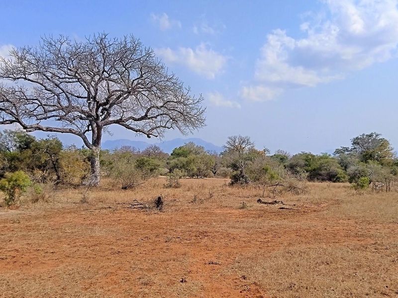 Live Among Legends: Your Home in the Heart of Hoedspruit - Photo 4