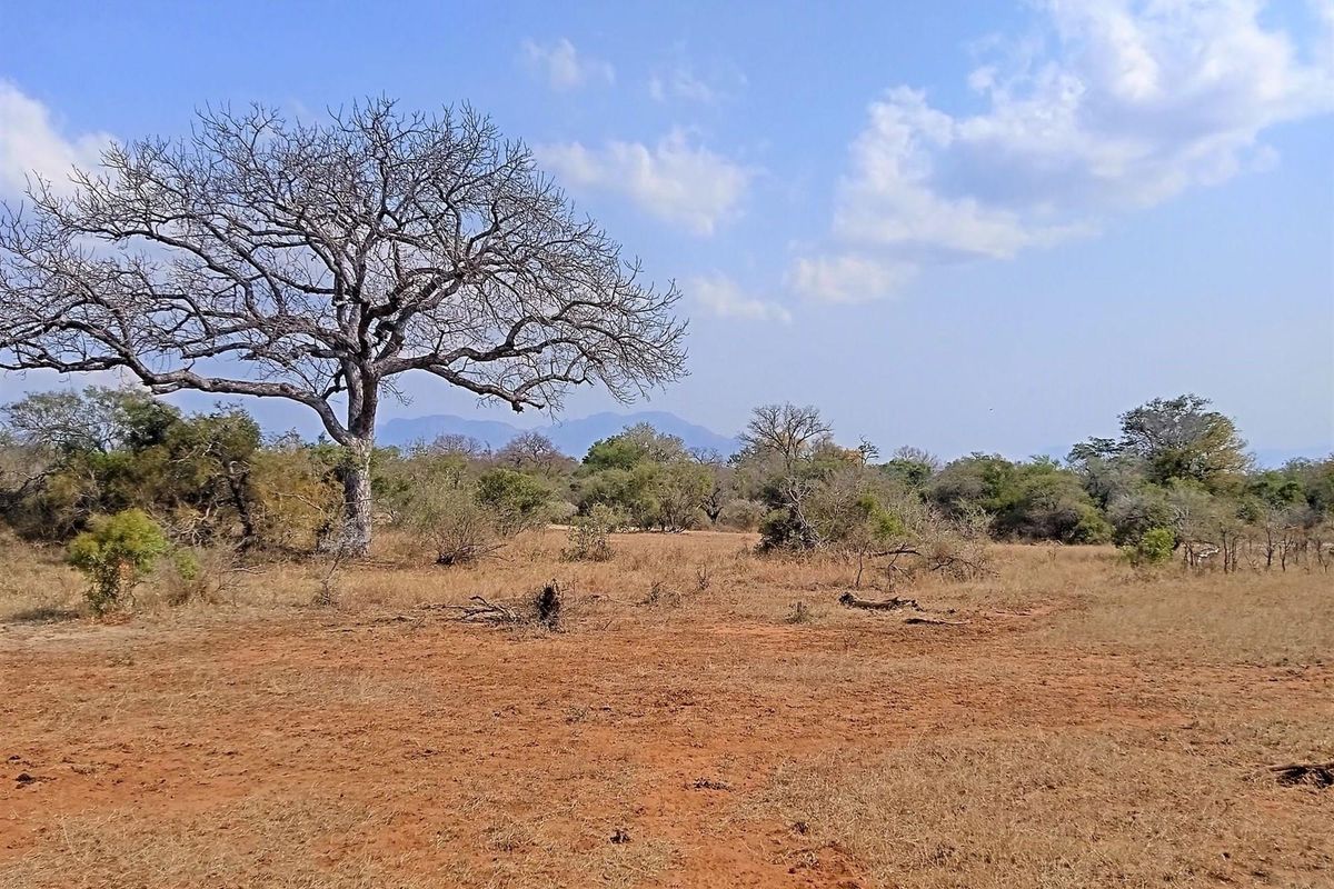 Live Among Legends: Your Home in the Heart of Hoedspruit - Photo 4