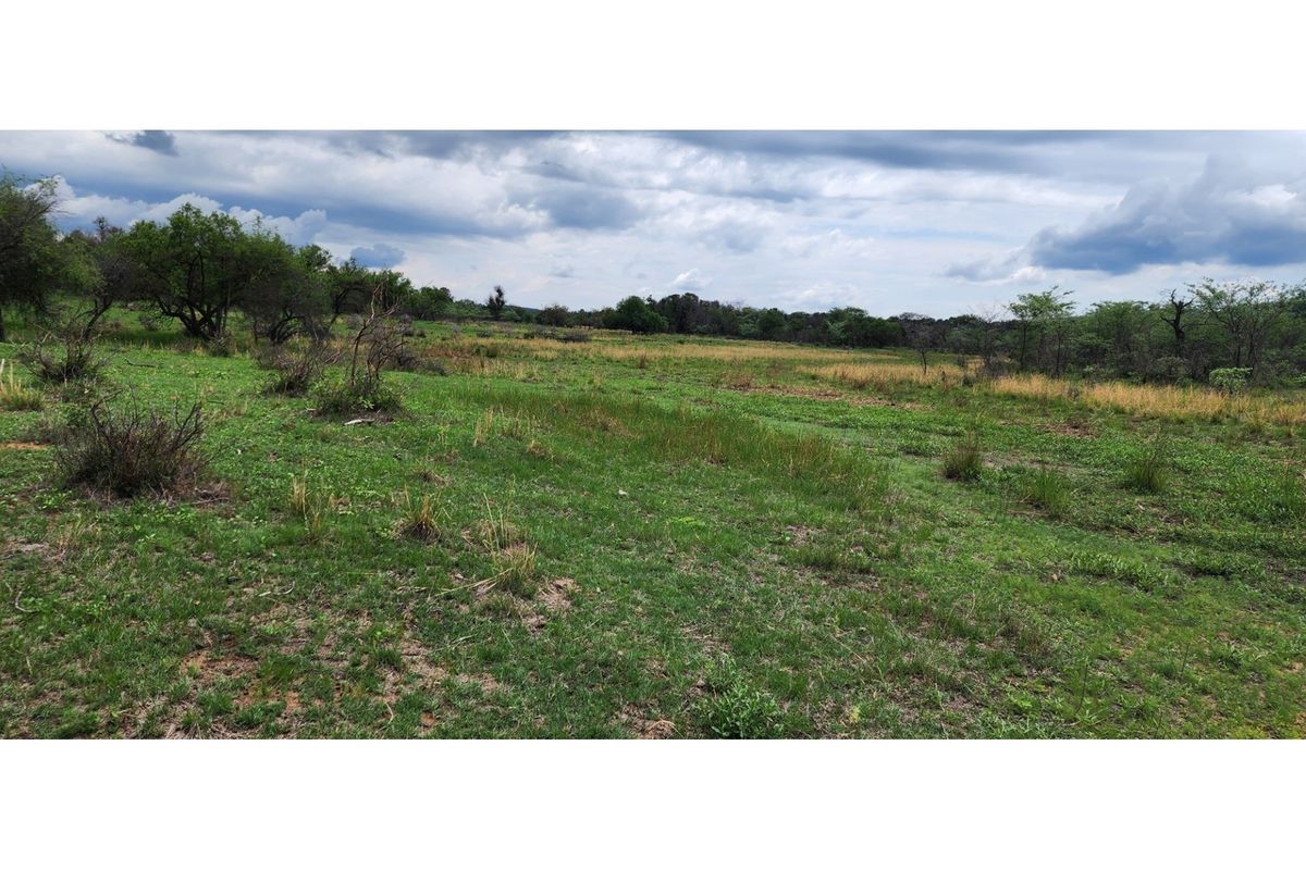 FARM - Cattle and Game Farm - Rooiberg - Leeupoort - 3873 ha South Africa - Photo 5