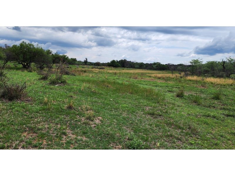 FARM - Cattle and Game Farm - Rooiberg - Leeupoort - 3873 ha South Africa - Photo 5