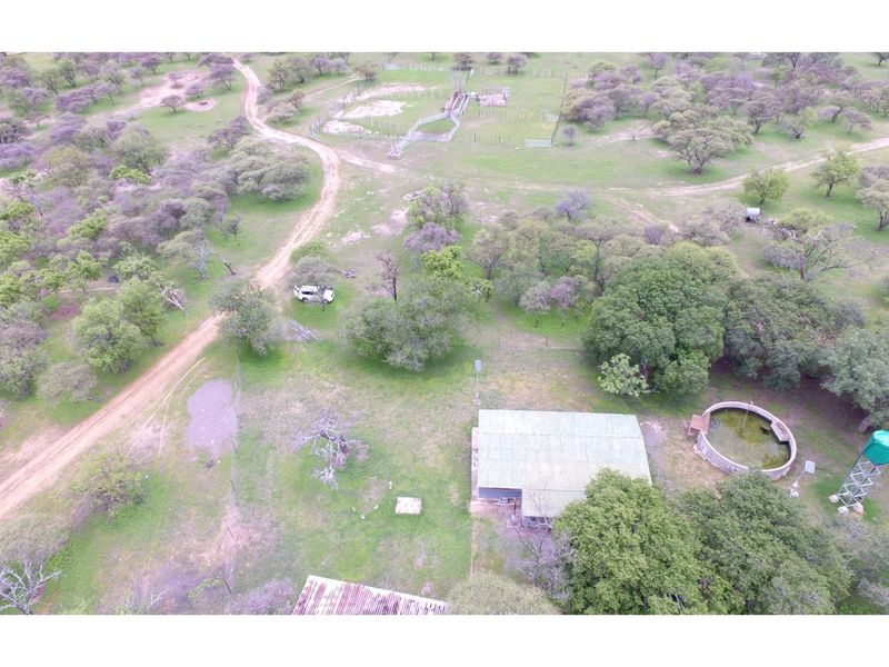 FARM - Cattle and Game Farm - Rooiberg - Leeupoort - 3873 ha South Africa - Photo 9