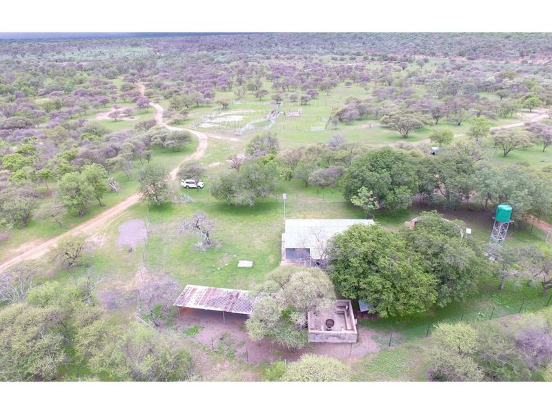 FARM - Cattle and Game Farm - Rooiberg - Leeupoort - 3873 ha South Africa - Photo 8