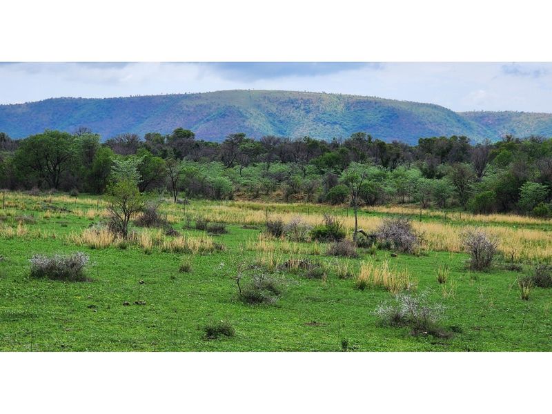 FARM - Cattle and Game Farm - Rooiberg - Leeupoort - 3873 ha South Africa - Photo 2