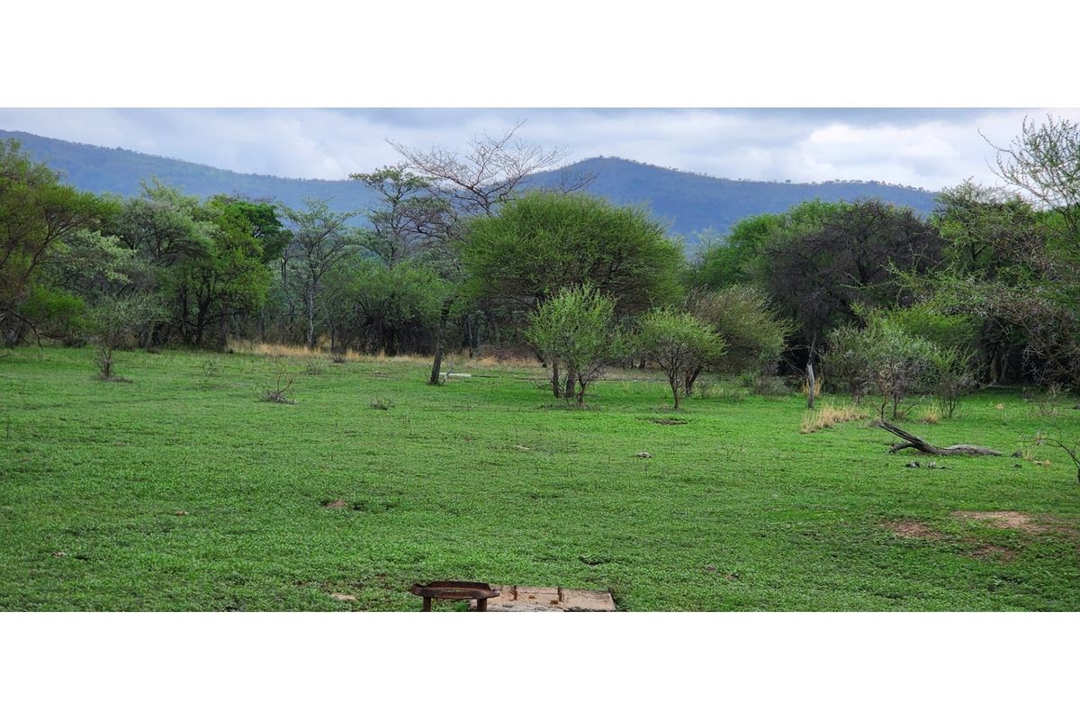 FARM - Cattle and Game Farm - Rooiberg - Leeupoort - 3873 ha South Africa - Photo 3