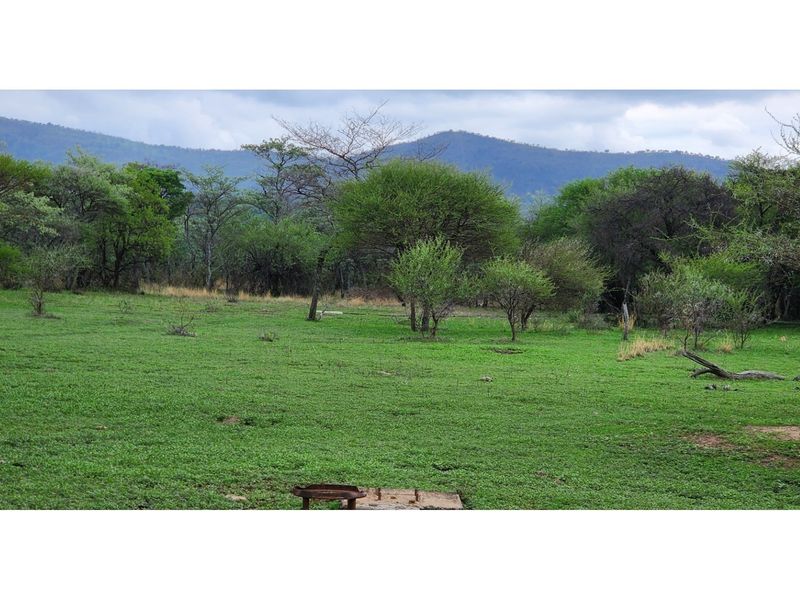 FARM - Cattle and Game Farm - Rooiberg - Leeupoort - 3873 ha South Africa - Photo 3