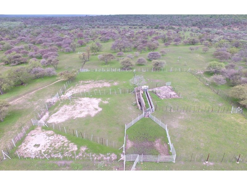 FARM - Cattle and Game Farm - Rooiberg - Leeupoort - 3873 ha South Africa - Photo 7