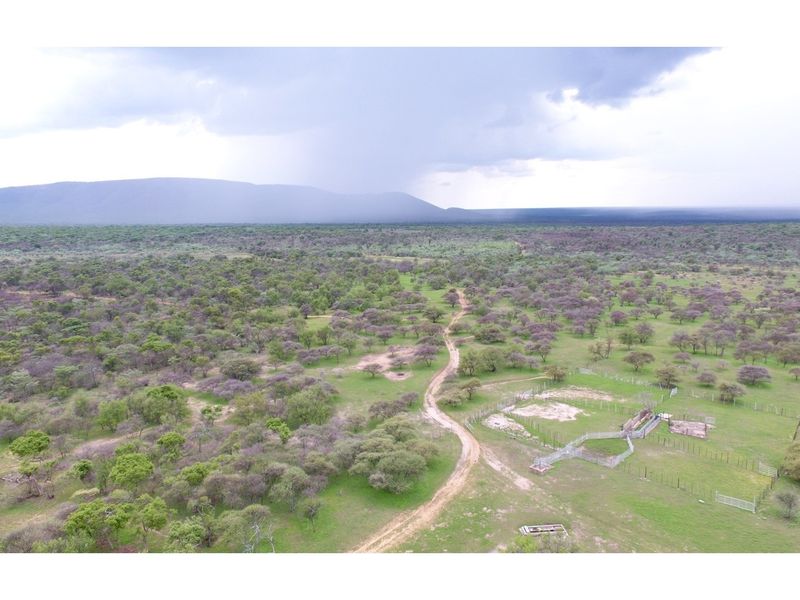 FARM - Cattle and Game Farm - Rooiberg - Leeupoort - 3873 ha South Africa - Photo 6