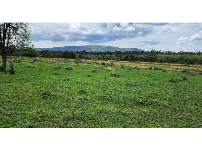 FARM - Cattle and Game Farm - Rooiberg - Leeupoort - 3873 ha South Africa - Photo 4